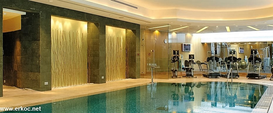 Swishotel pool Moscow